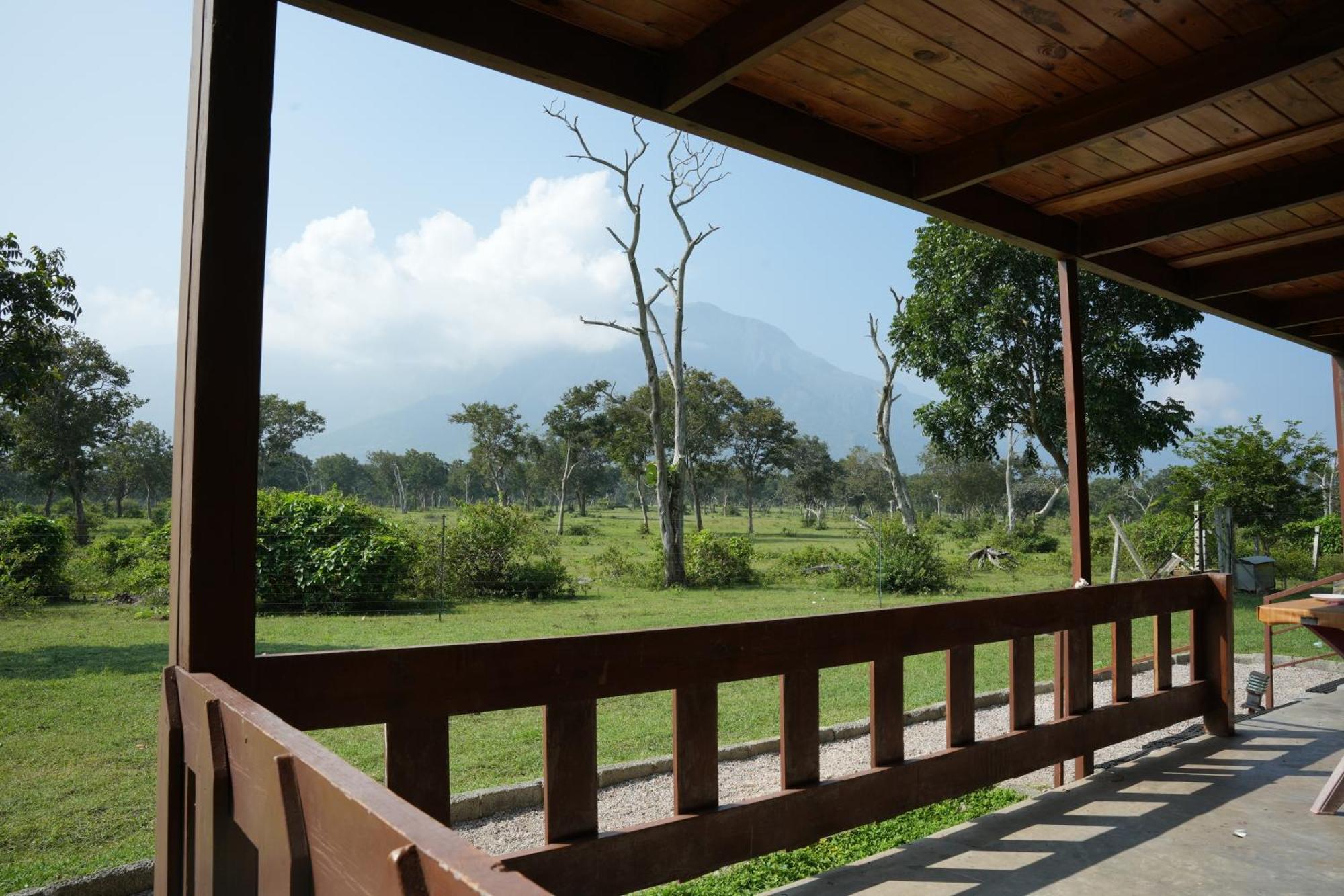 Labdhi Resorts Masinagudi- Stag Groups Not Allowed Bagian luar foto