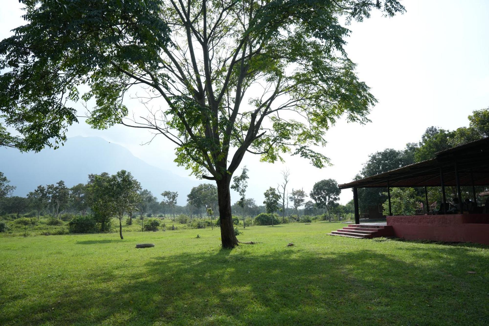Labdhi Resorts Masinagudi- Stag Groups Not Allowed Bagian luar foto